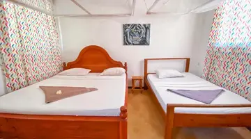 Papaya Guest House Nungwi