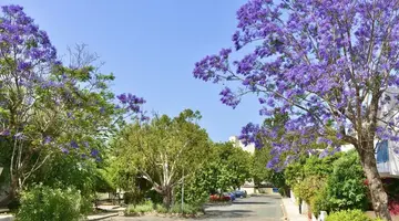 Paphos Gardens Apts