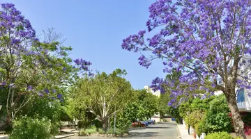 Paphos Gardens Holiday Resort
