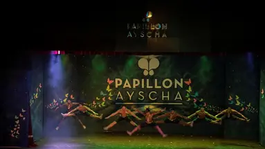 PAPILLON AYSCHA HOTEL