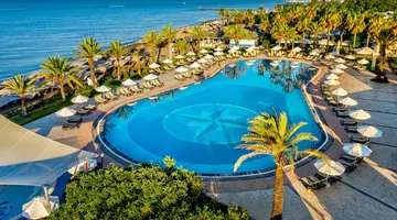 Papillon Belvil