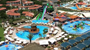 PAPILLON BELVIL