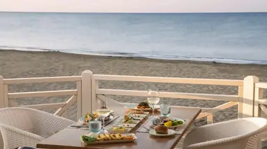 Papillon Belvil