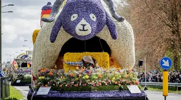 Parada kwiatów w Keukenhof