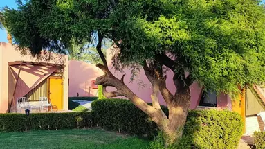 PARADISE ABU SOMA RESORT