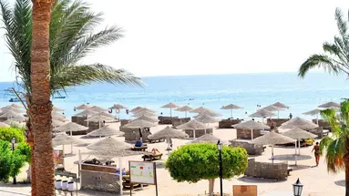 Paradise Abu Soma