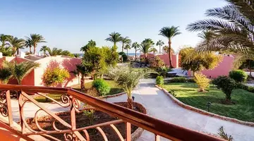 PARADISE ABU SOMA