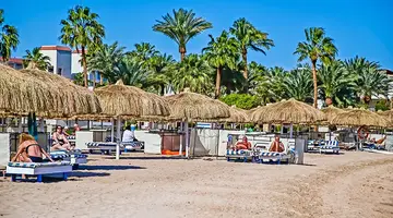PARADISE ABU SOMA