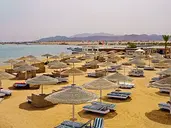 PARADISE ABU SOMA