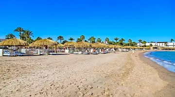 PARADISE ABU SOMA