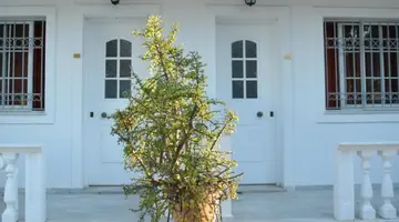 Paradise Beach Hotel