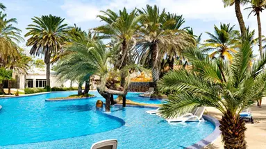 Paradise Coche