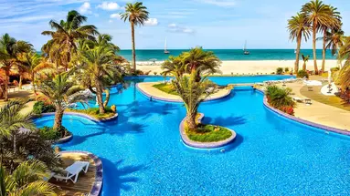 Paradise Coche