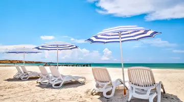 Paradise Coche