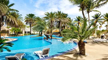 Paradise Coche