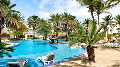 Paradise Coche