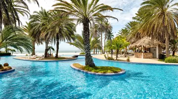 Paradise Coche