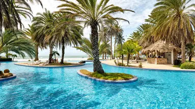 Paradise Coche