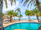 Paradise Coche