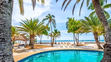 Paradise Coche