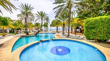 Paradise Coche