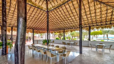Paradise Coche