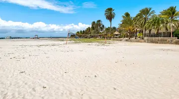 Paradise Coche