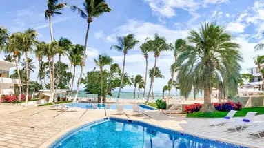 Paradise Oasis