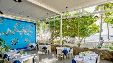 Paradise Oasis