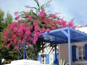 Paradise Resort