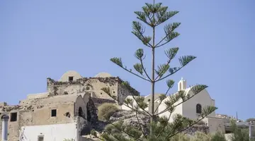 Paradise Resort