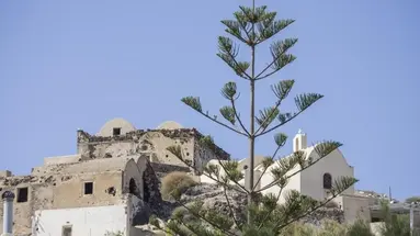 Paradise Resort