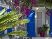 Paradise Resort