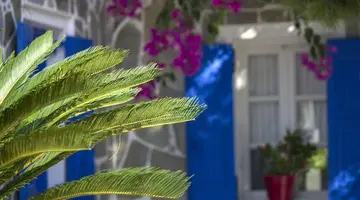 Paradise Resort