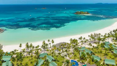 Paradise Sun