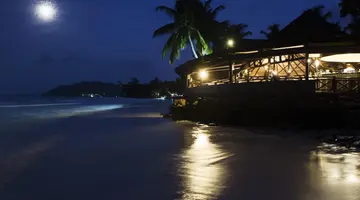 PARADISE SUN