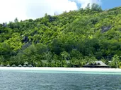 PARADISE SUN