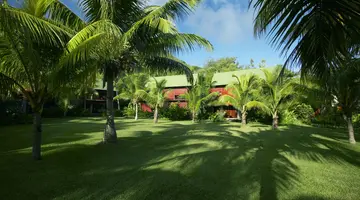 PARADISE SUN