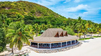 Paradise Sun
