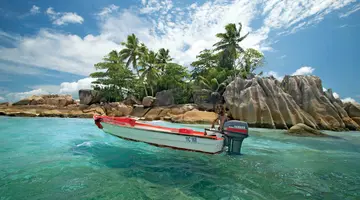 PARADISE SUN