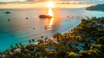 Paradise Sun
