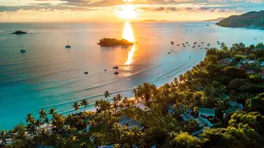 Paradise Sun