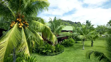 PARADISE SUN