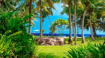 Paradise Sun