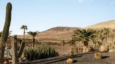 Paradisus by Melia Fuerteventura