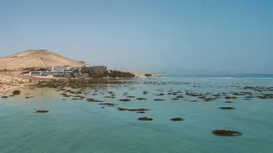 Paradisus by Melia Fuerteventura