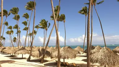 Paradisus Palma Real Golf & Spa Resort