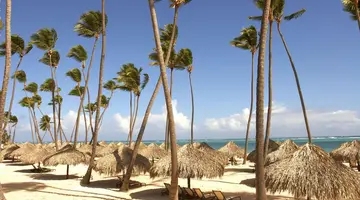 PARADISUS PALMA REAL GOLF & SPA RESORT