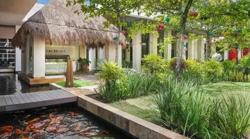 PARADISUS PLAYA DEL CARMEN