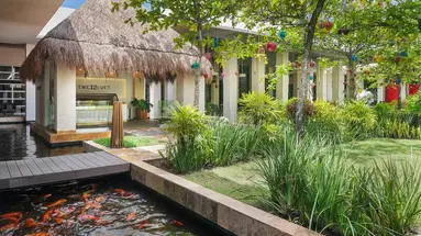 PARADISUS PLAYA DEL CARMEN